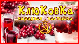 КЛЮКОВКА!!! НАРОДНАЯ НАСТОЙКА самогона на КЛЮКВЕ - быстрый рецепт!