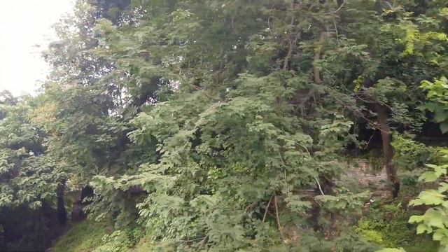 【HD】Walk through Sprawling Chongqing, China | Endless Urban Jungle смотреть онлайн