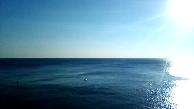 Анапа . Дельфины на Высоком берегу.