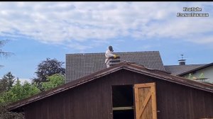 Я такого ещё не видела ,а вы ? ?Вред Шифера  и Камуфляж !!! Часть 2я.