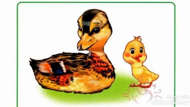 Занятие для детей младшей группы "Домашние птицы" смотреть онлайн