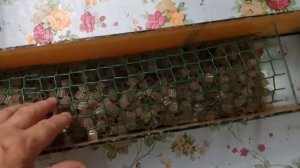 Эффективность биофильтра для аквариума возрастет.