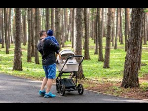 Минтруда уточнил условия выплаты пособия по уходу за ребенком до 1,5 лет