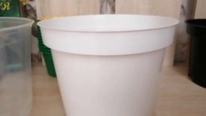 Удобрение для антуриума и другие покупки для моих комнатных растений из Ленты и цветочного магазина