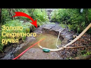 Золото секретного ручья
