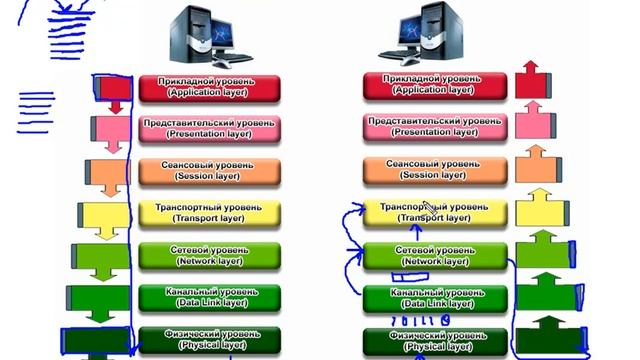 Взаимодействие уровней сетевой модели OSI (ч2) смотреть онлайн