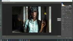 CINEMATIC CAMERA RAW PRESETS FREE DOWNLOAD