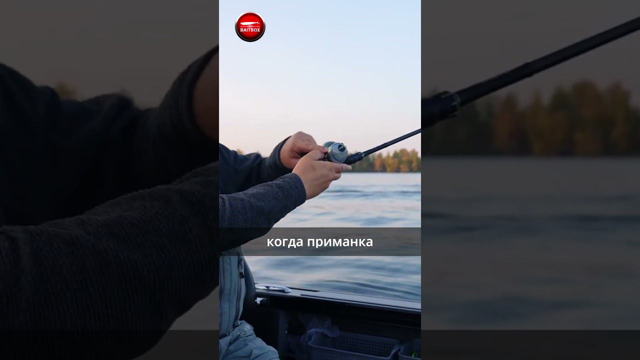 Готовимся к рыбалке. Настройка осевого тормоза на катушке. #baitbox_fishing #ловлясудака #рыбалка