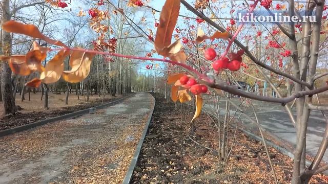 Благоустройство парков и скверов смотреть онлайн
