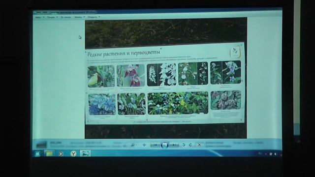 По малоизвестным достопримечательностям Ленинградской области. "Загадочные камни". Ч. 4. смотреть онлайн