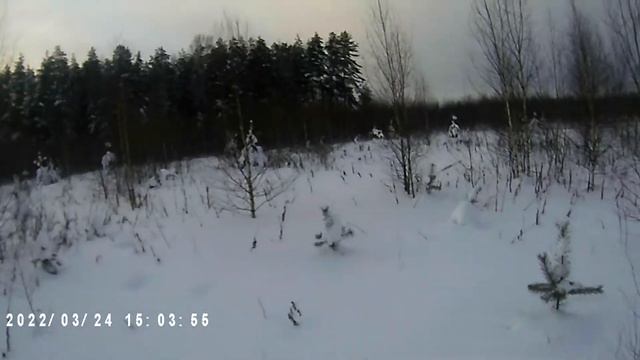 охота на тетерева с ружьем иж 18 в новом костюме клякса смотреть онлайн