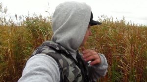 ХОРОШАЯ РЫБАЛКА ПОД ОСЕННИМ ДОЖДЕМ! КРУПНЫЙ КАРАСЬ НА ПОПЛАВОЧНУЮ УДОЧКУ!