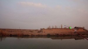 Обзор японской снасти Херабуна с Аццким Жгунычем, рыбалка на сазана.