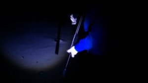 Отстрел Азот 28гр сайга 12 к исп.10 (ДТК Камертон 2)