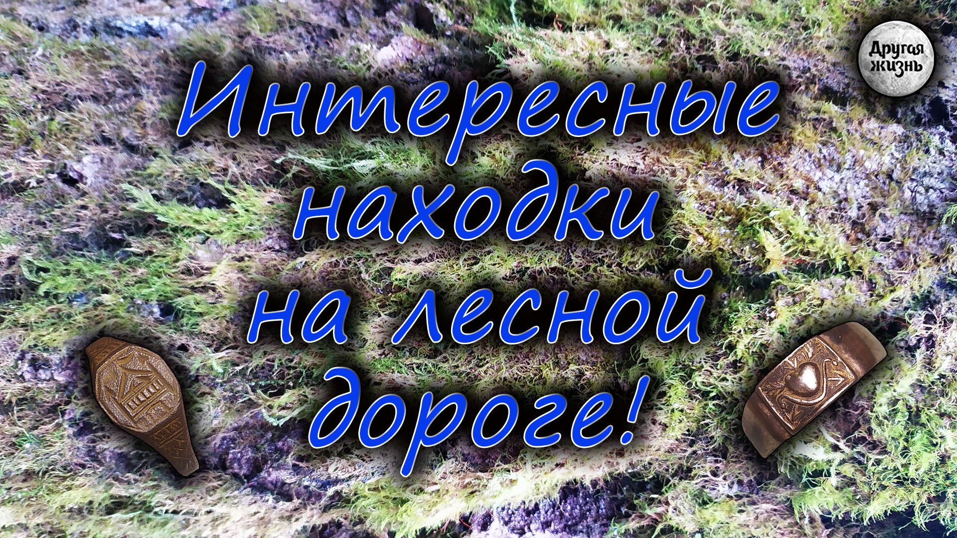 Интересные находки на лесной дороге.