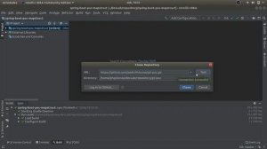 Tips Git clone in IntelliJ