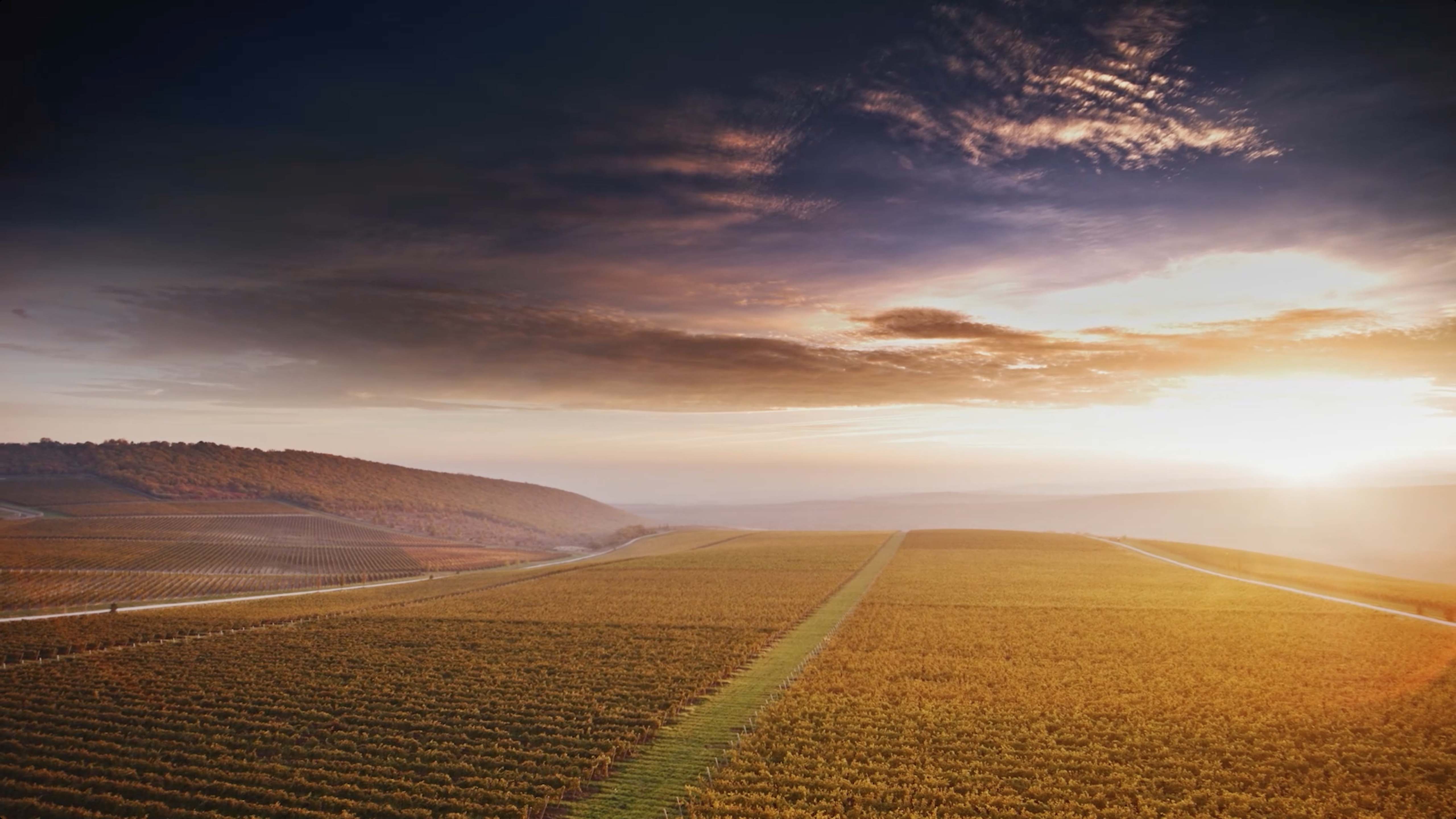 Showreel ШОУРИЛ Влад Дорошев! смотреть онлайн