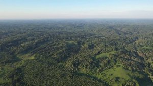 mavic 2 pro с. Излап Алтайский край