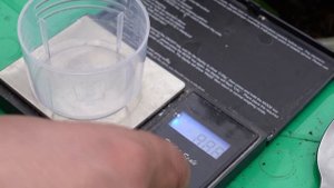 Как побороть грибной комарик, земляной комарик, мушка. Актара.