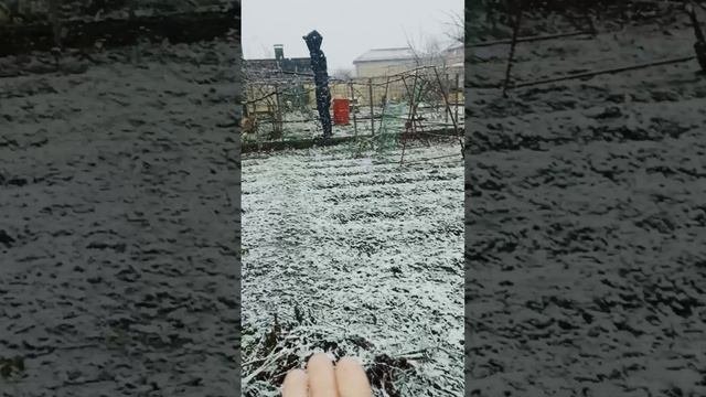 в Краснодаре метёт Снег