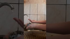 МОЖНО ЛИ МЫТЬ ХОМЯКА?! ??????