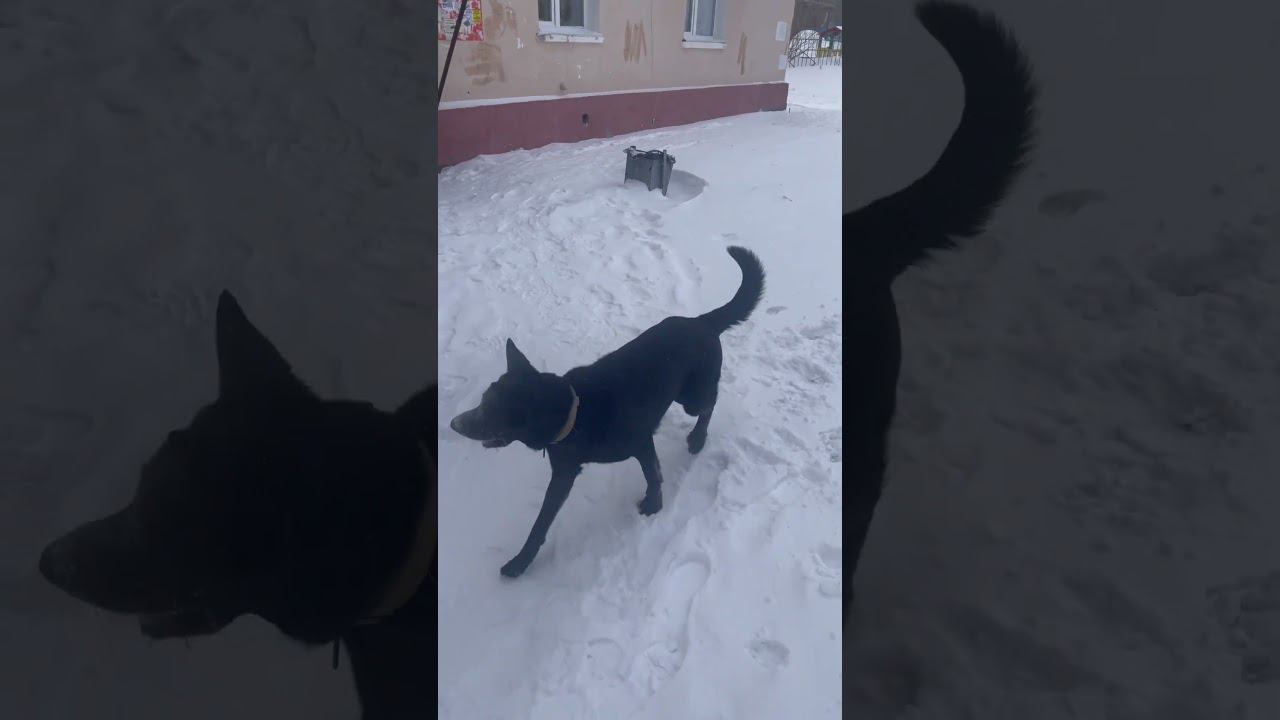 17 февраля 2024 г. смотреть онлайн