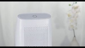 Умный мини осушитель воздуха t8 700 мл, полупроводниковый влагопоглотитель для дома, офиса, спальни