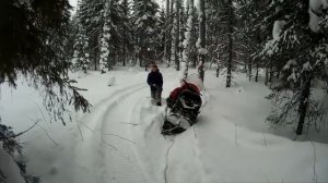 Тайга варяг в лесу