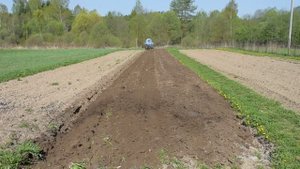 Трактор МТЗ-80.Пашу себе огород под картофель.