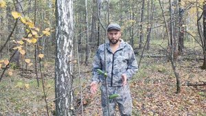 Лечение гемороя. Народный метод.