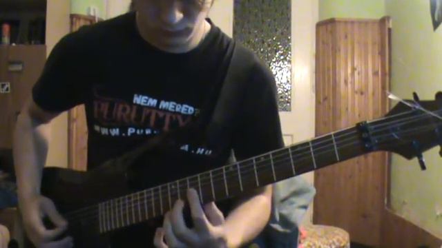 Parkway Drive - Carrion guitar cover смотреть онлайн