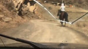 Инаходец кардиб