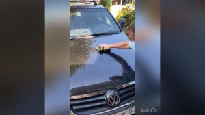 Как мой муж помыл  всю машину одной тряпкой Гринвей