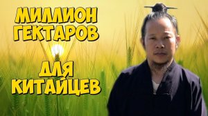 ✅ Китайцы на Дальнем Востоке правда и домыслы, выгоды и угрозы. Экспансия России.