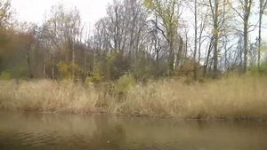 На лодке по Новоладожскому каналу (октябрь 2021)