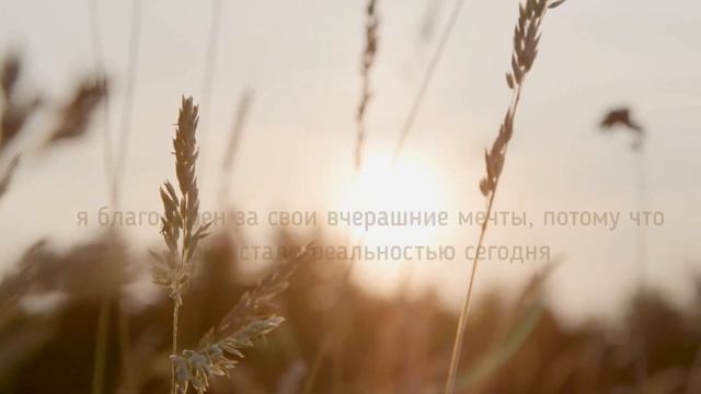 ВОЛШЕБНАЯ ПРАКТИКА БЛАГОДАРНОСТИ, которая изменит ваше жизнь к лучшему. Аффирмации благодарности