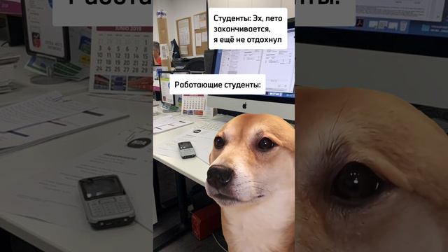 А я вообще работаю...