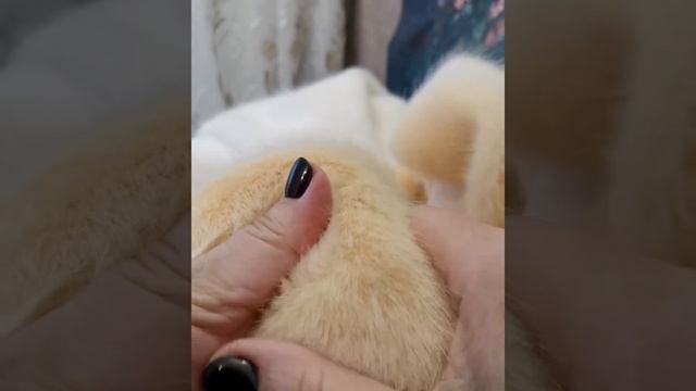 Обзор искусственного меха "норка" 15мм с Алиэкспресс смотреть онлайн