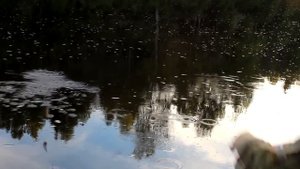 Ставим жерлицы на щуку |Лето|