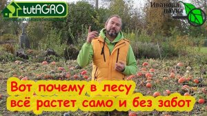 НАРОД ХОЧЕТ ЗНАТЬ! Почему в природе все растет само, а в огороде надо все-время что-то делать?