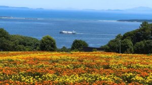 ToriChyanChannel: ЖИЗНЬ НА ЮГЕ ЯПОНИИ ЛЕТОМ! Японские пляжи, горы и водопады