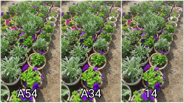 Samsung Galaxy A54 Vs Samsung Galaxy A34 Vs iPhone 14 | Camera Test Comparison смотреть онлайн