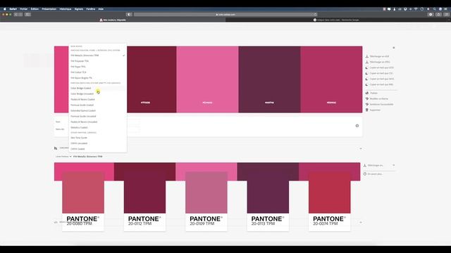 Adobe color: explorer et choisir des thèmes de couleurs adaptés à la vision daltonienne смотреть онлайн