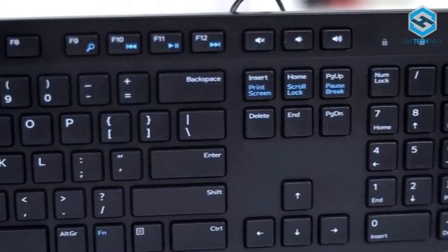 Dell Wired Keyboard KB216 Dell Wired Keyboard - Black KB216 (580-ADMT) смотреть онлайн