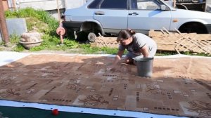 Бюджетная чистка паласа