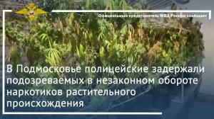 В Подмосковье полицейские задержали подозреваемых в незаконном обороте наркотиков