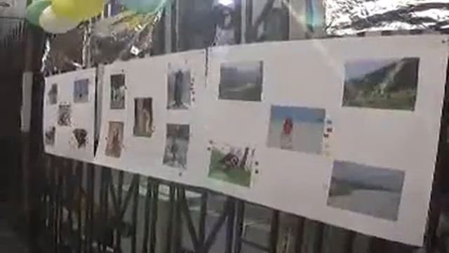 Петунии смотреть онлайн