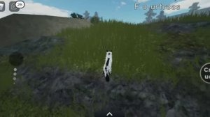 тайные места в Котах-воителях в роблоксе