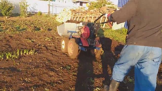 Мини думпер, мини самосвал на мотоблоке Ока смотреть онлайн