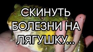СКИНУТЬ БОЛЕЗНИ НА ЛЯГУШКУ...ДЛЯ ВСЕХ....